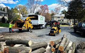 Lawn Maintenance Plans in New Holland, PA